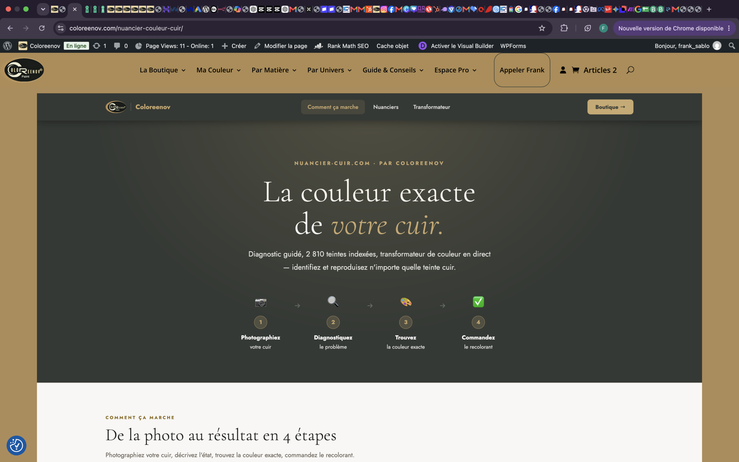 Capture d'écran — Diagnostic Couleur & Nuancier